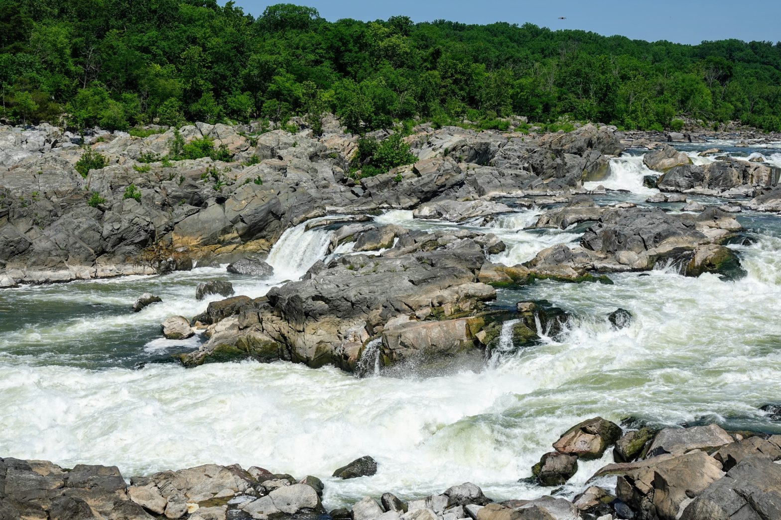 rapids at Great Falls