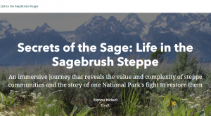 creenshot of a webpage with the title secrets of the sage: life in the sagebrush steppe