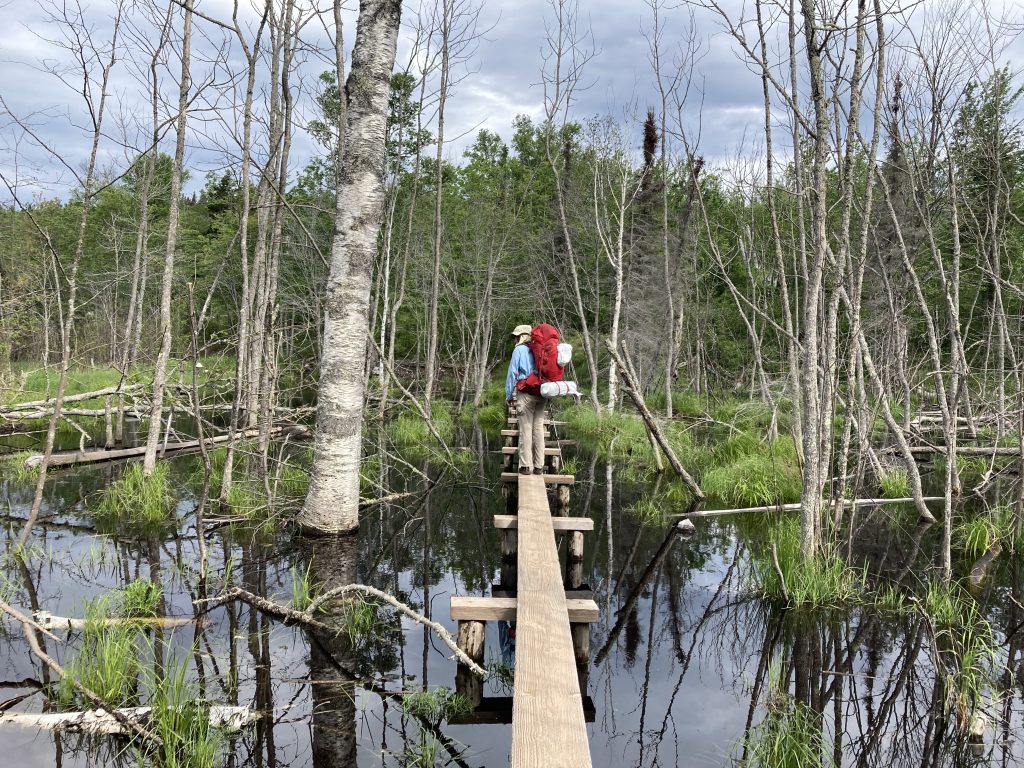 hiking over a boardwalk through a swamp