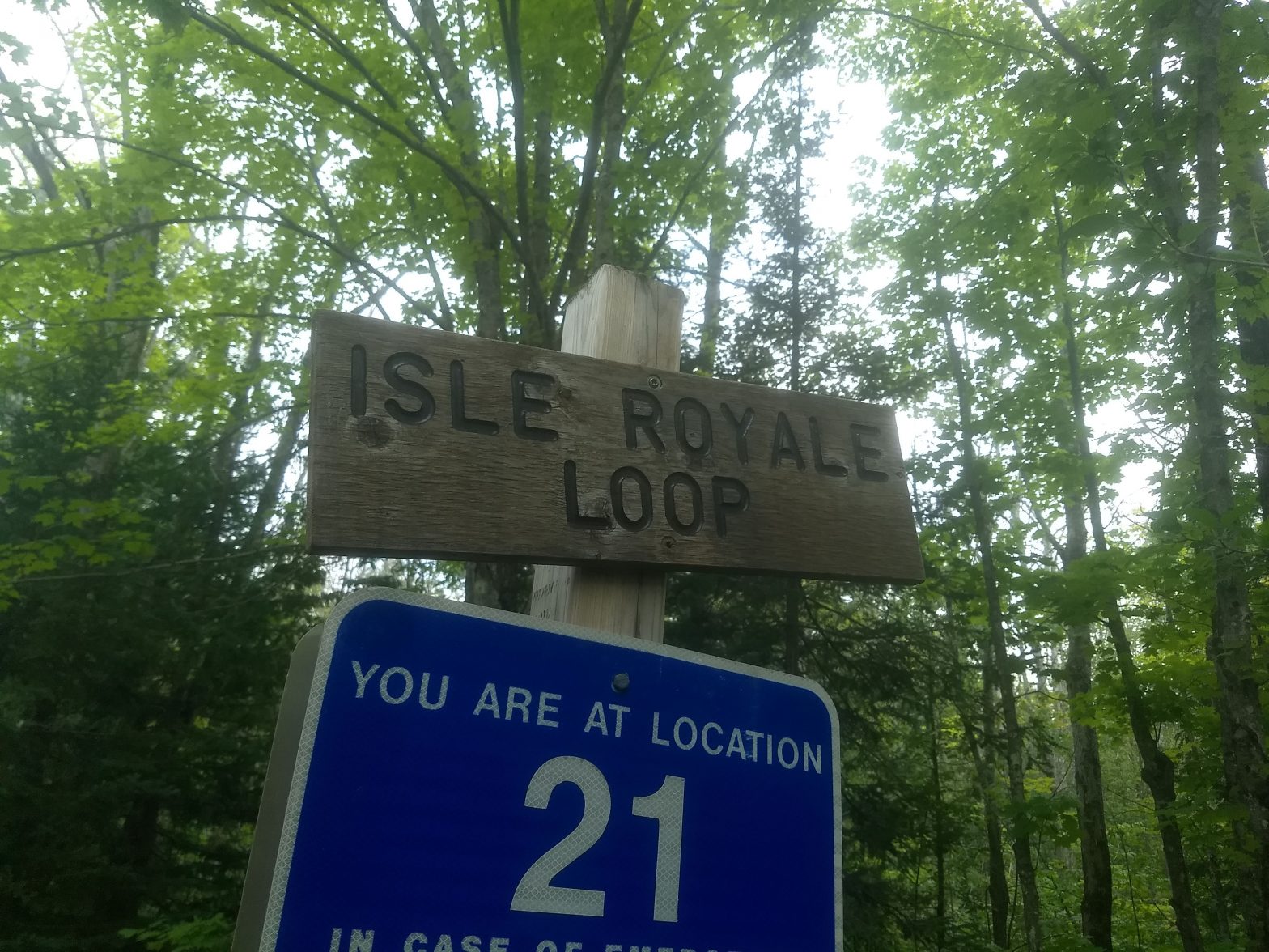 an image of the Isle Royale Loop Trail