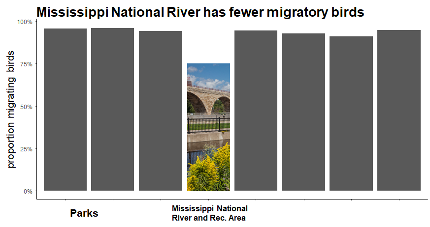 bar graph of probability of finding migratory birds in eight parks