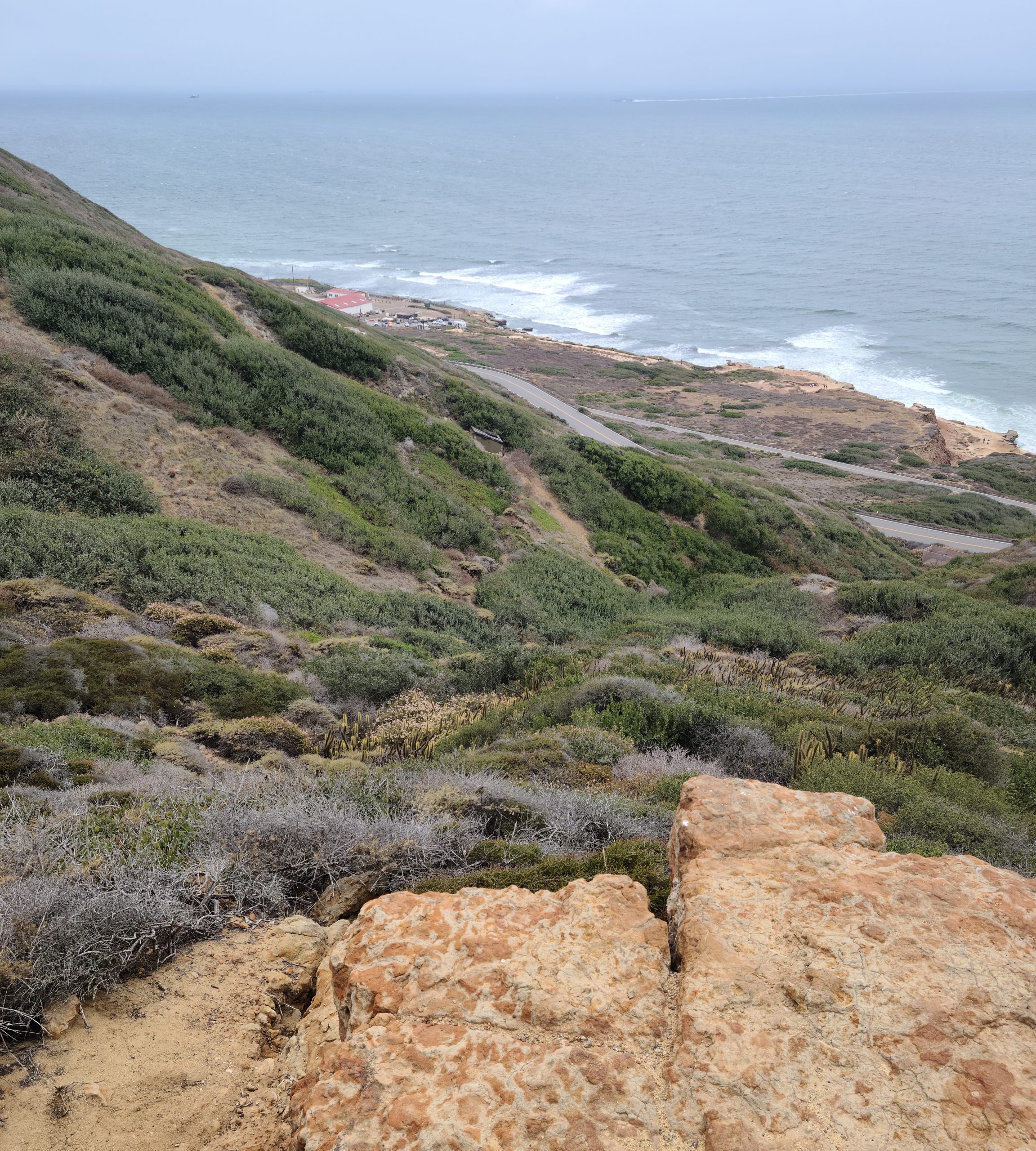 Landscape of rolling hill leading to ocean just beyond a small access road