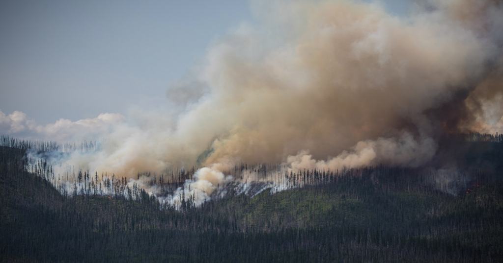 Image of a forest fire on a mountain