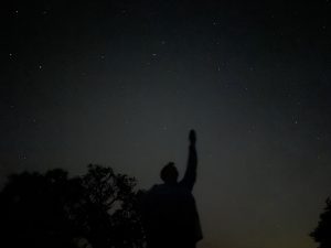 The silhouette of a person with an arm raised and the silhouette of trees. There are stars overhead.