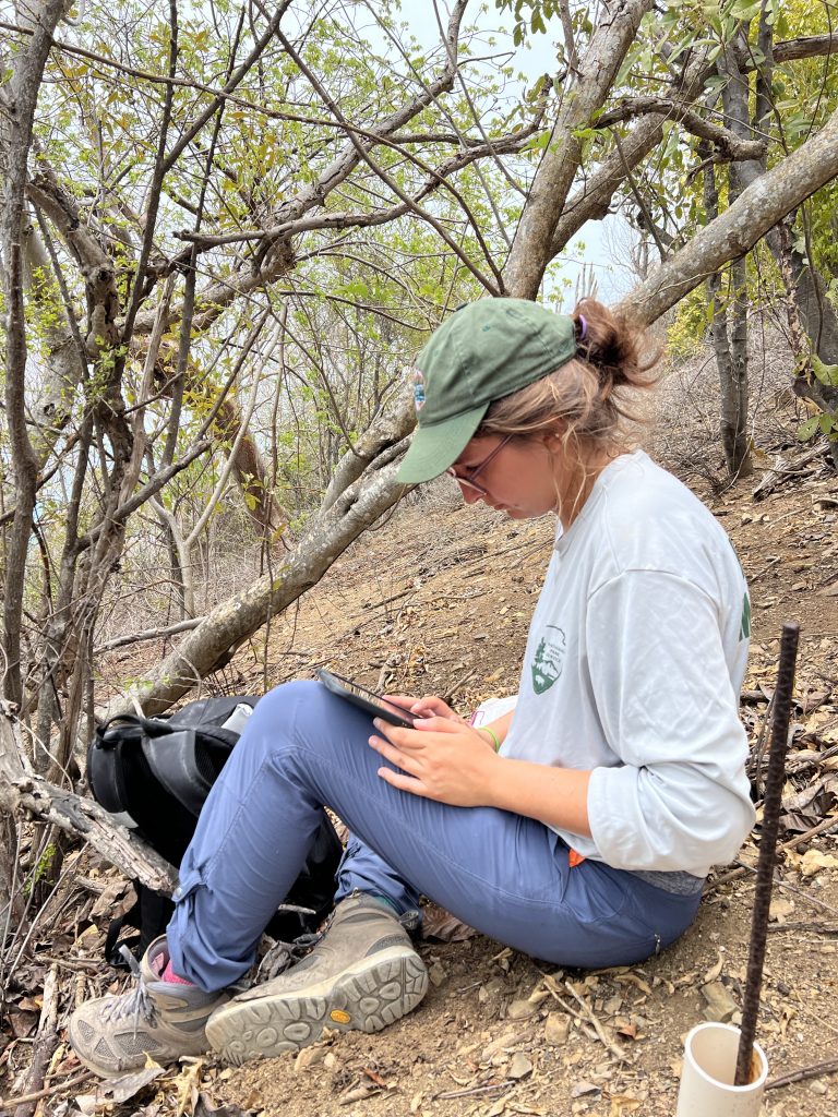 woman sitting wearing a hat, grey shirt, and blue pants sitting on the ground recording data on a tablet. Background consists of dry brush and trees