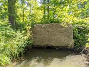 Large culvert incased in cement, draining canal wetlands.