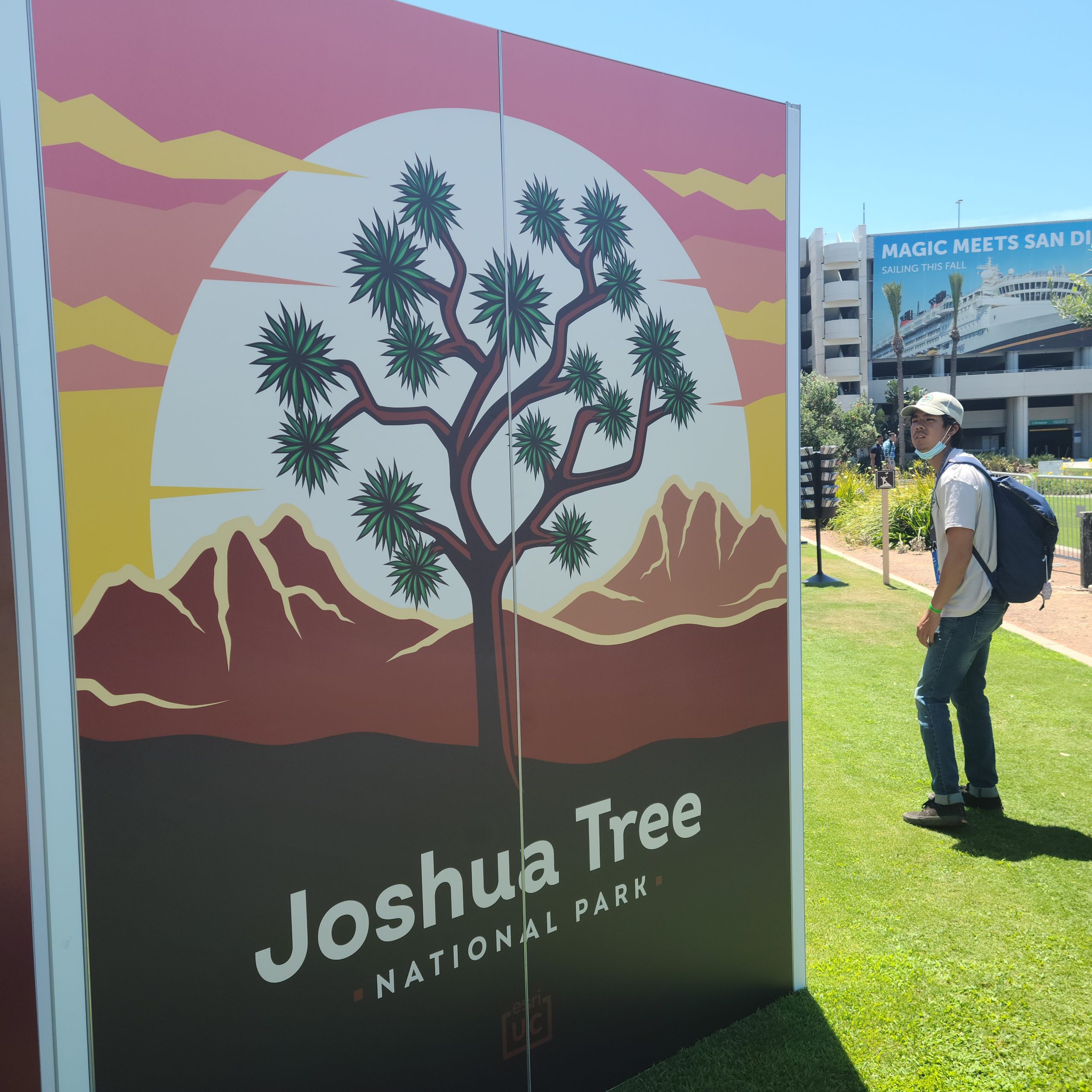 Joshua Tree experience ad.
