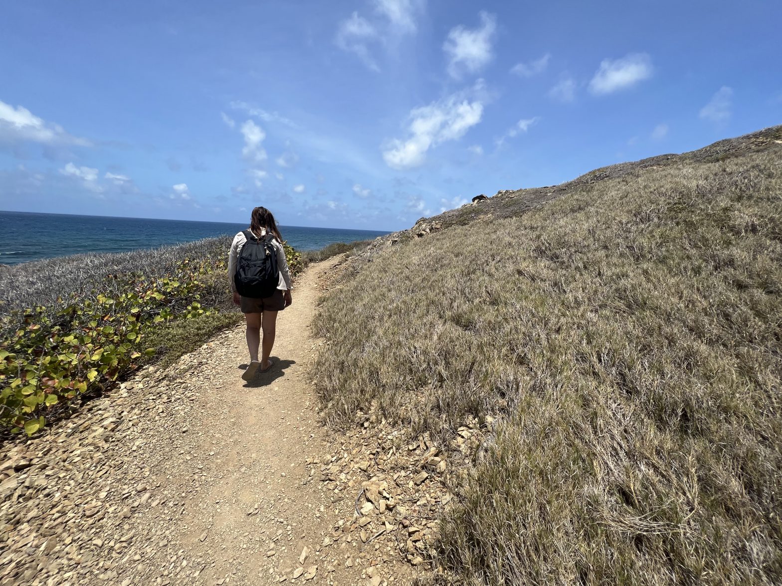 woman walking along sandy hiking trail with her back to the camera. Foliage is dry and scrub-like with the ocean in the background
