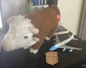 A brown and white stuffed Hereford cow, a model of Air Force One, and a Lyndon B. Johnson National Historical Park junior ranger badge sit on a black desk.