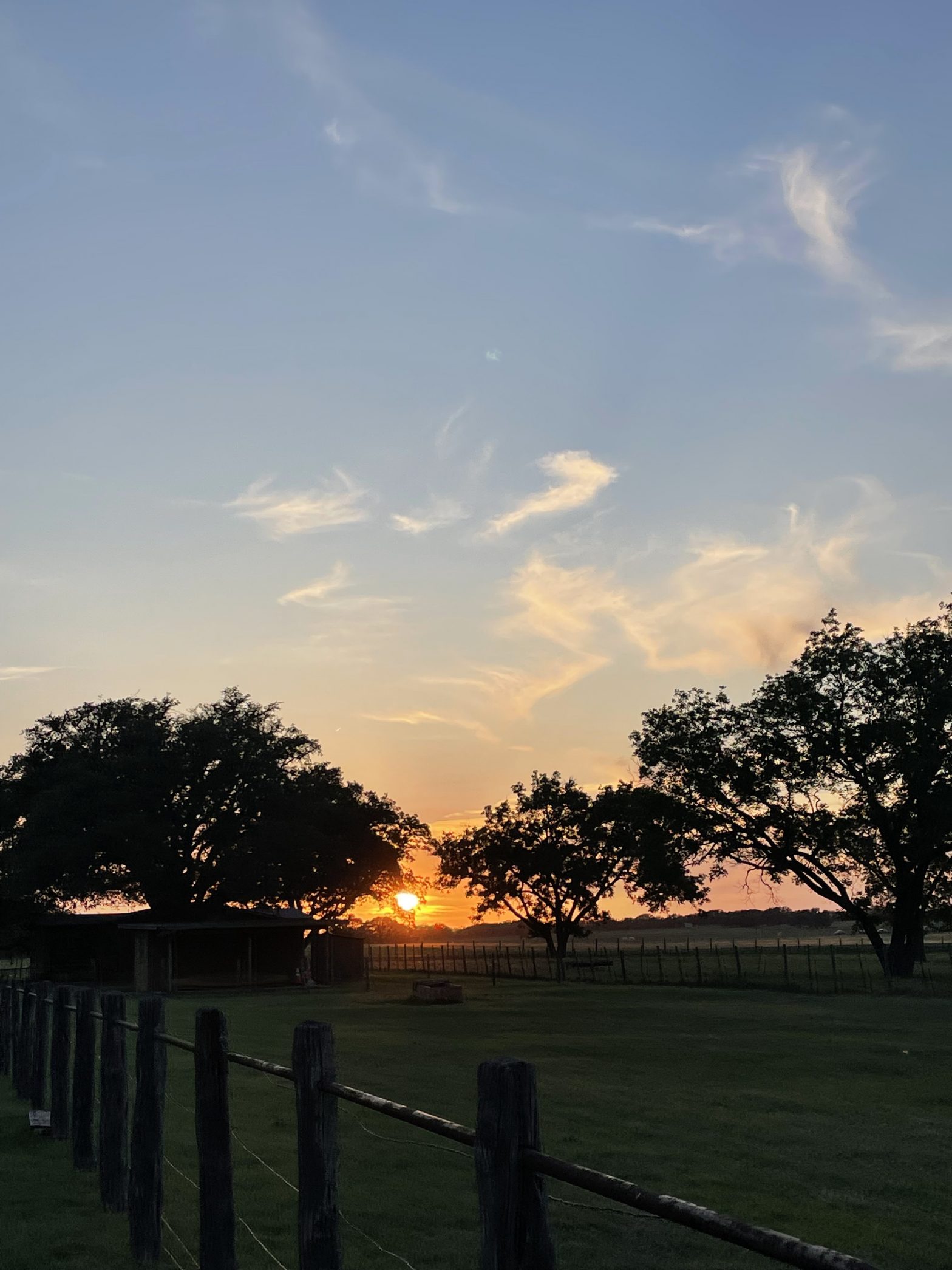 The sunset at the LBJ Ranch. The horizon is orange and the sky is blue, and some trees and a fense are visible. There are wispy clouds in the sky.