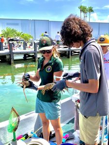 A picture of Alex and Nicole both looking at live lobsters. The lobsters are a greenish yellow, while their gloves are a faint grayish blue. Nicole is wearing a green hat, polo-shirt, blue pants, and sunglasses. Alex wears a grey-ish blue polo shirt and cream colored shorts. 