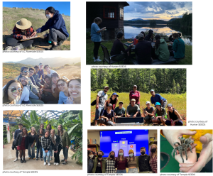 Multiple images from SEEDS Chapters projects funded with SEEDS Chapters grants.