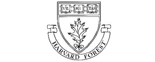 Harvard Forest
