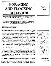 foraging and flocking bevahior lab