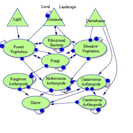 Figure 1. Image of a conceptual map.