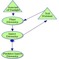 Figure 2. Image of conceptual map.