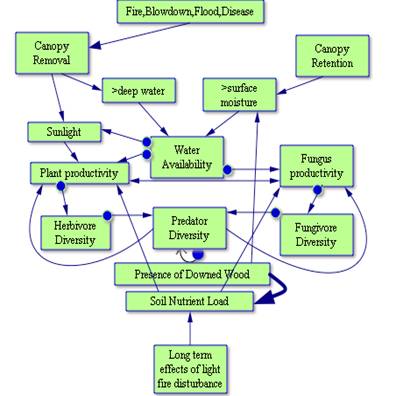 Figure 3. Image of conceptual map.