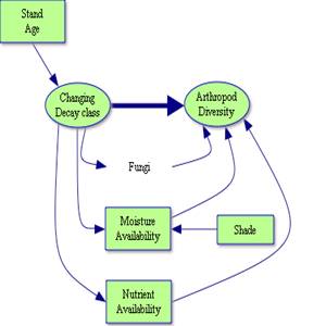 Figure 4. Image of conceptual map.