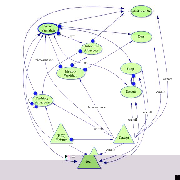 Figure 5. Image of conceptual map.