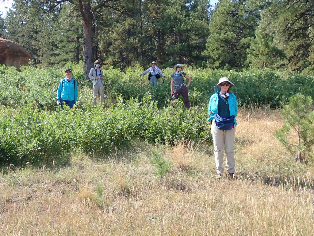 Five people stand at a tree line with dry vegetation in the foreground.