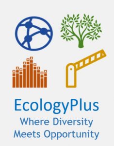 EcologyPlus logo reading, Where diversity meets opportunity