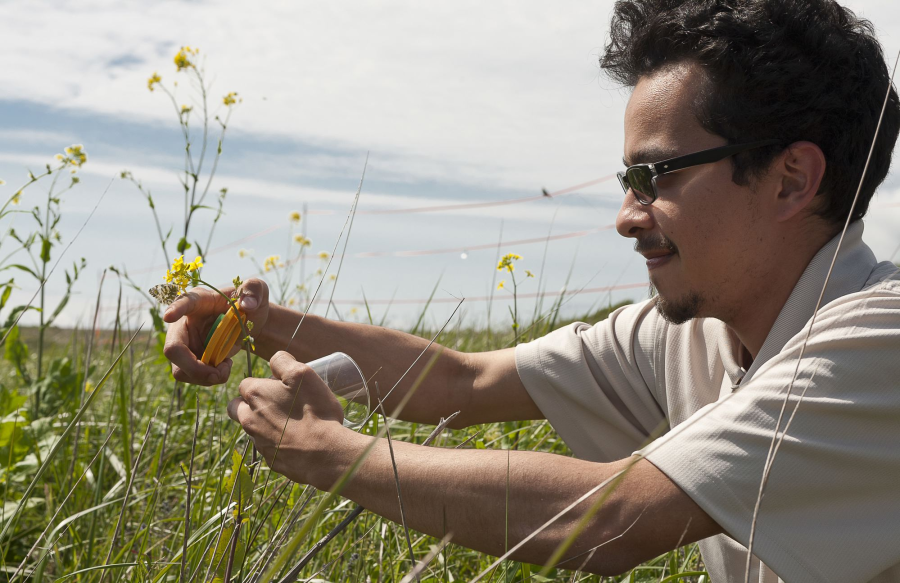 Student holds a yellow wild flower in his hand and attempts to capture an insect in a sampling container. 