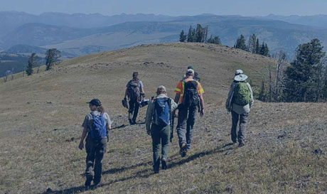 A group of hikers reach a hill's summit.