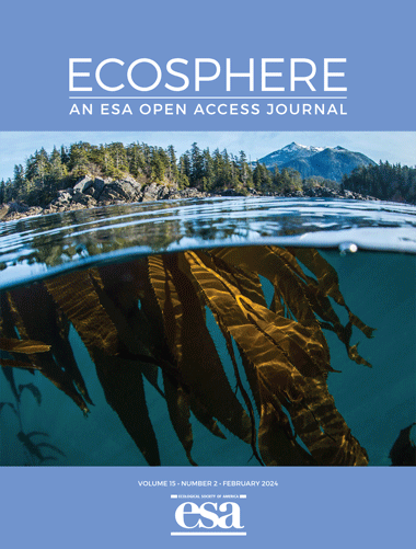 Giant kelp in Southeast Alaska