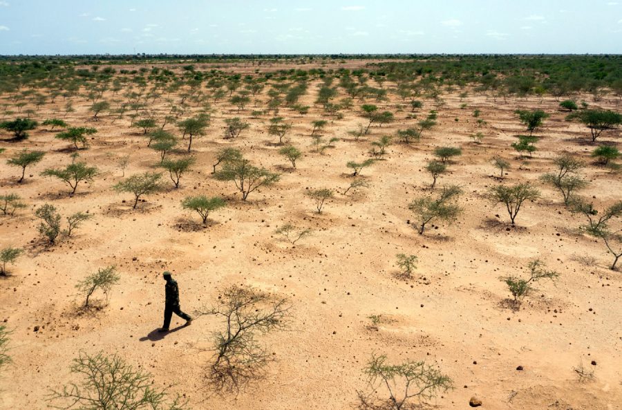 A forestry guard patrols the Lido Great Green Wall afforestation site in the Dosso region of Niger. Image credit: DAWNING/N Parisse
